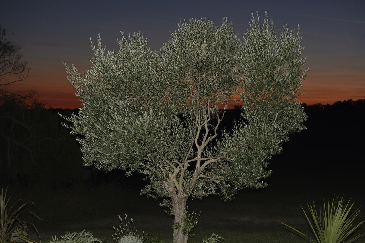 Le Pre Joli Otel Beaugas Dış mekan fotoğraf